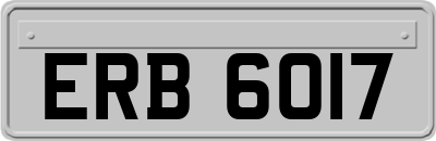 ERB6017