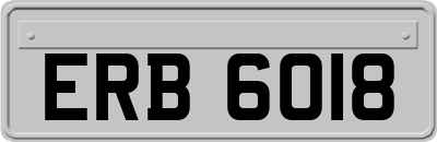 ERB6018