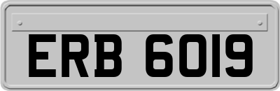 ERB6019
