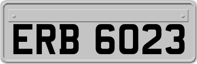 ERB6023