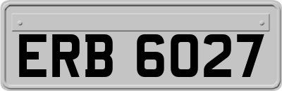 ERB6027