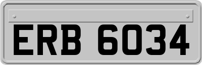 ERB6034