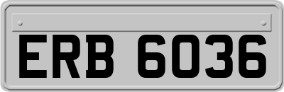ERB6036