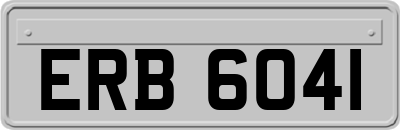 ERB6041