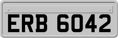 ERB6042