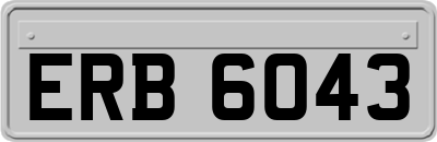 ERB6043