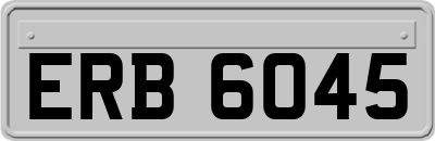 ERB6045