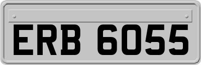 ERB6055