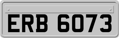 ERB6073
