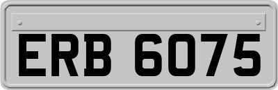 ERB6075