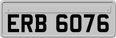 ERB6076