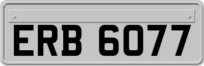 ERB6077