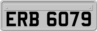 ERB6079