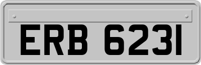 ERB6231