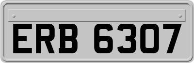 ERB6307