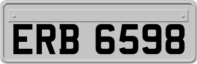 ERB6598