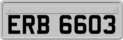 ERB6603