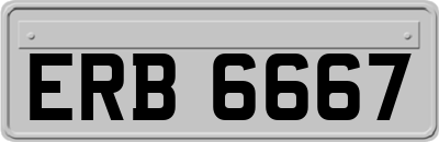 ERB6667