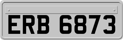 ERB6873