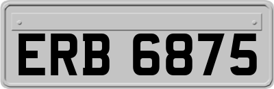 ERB6875