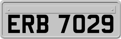 ERB7029