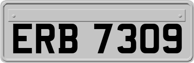 ERB7309