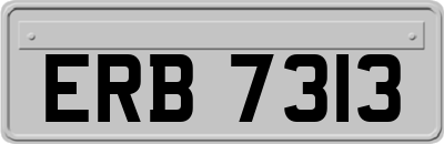 ERB7313