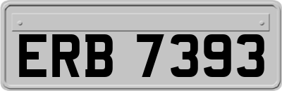 ERB7393