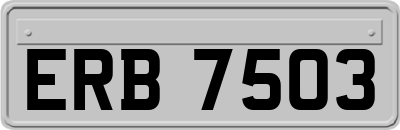 ERB7503
