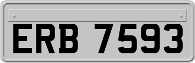 ERB7593