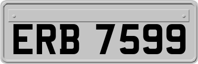 ERB7599