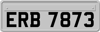 ERB7873