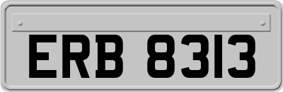 ERB8313