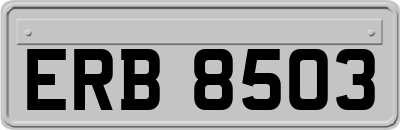 ERB8503