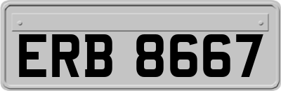 ERB8667