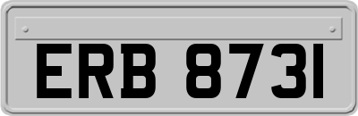 ERB8731