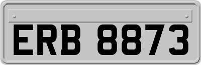 ERB8873