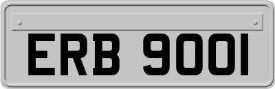 ERB9001
