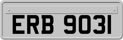ERB9031