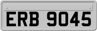 ERB9045