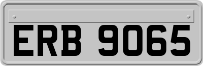 ERB9065