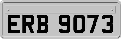 ERB9073