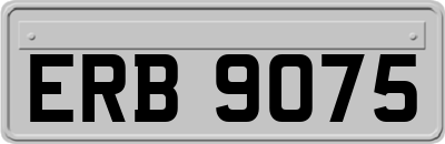 ERB9075