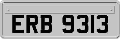 ERB9313