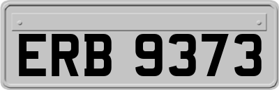 ERB9373