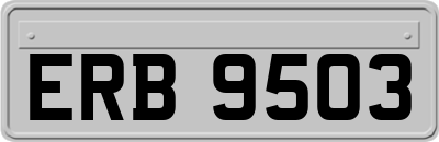 ERB9503