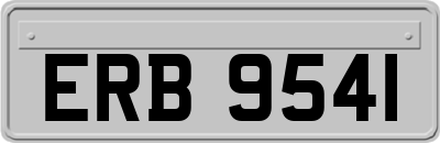 ERB9541