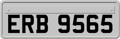 ERB9565