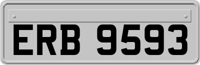 ERB9593