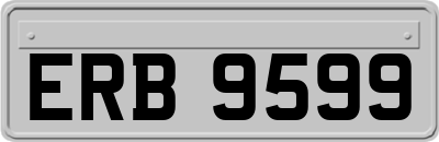 ERB9599